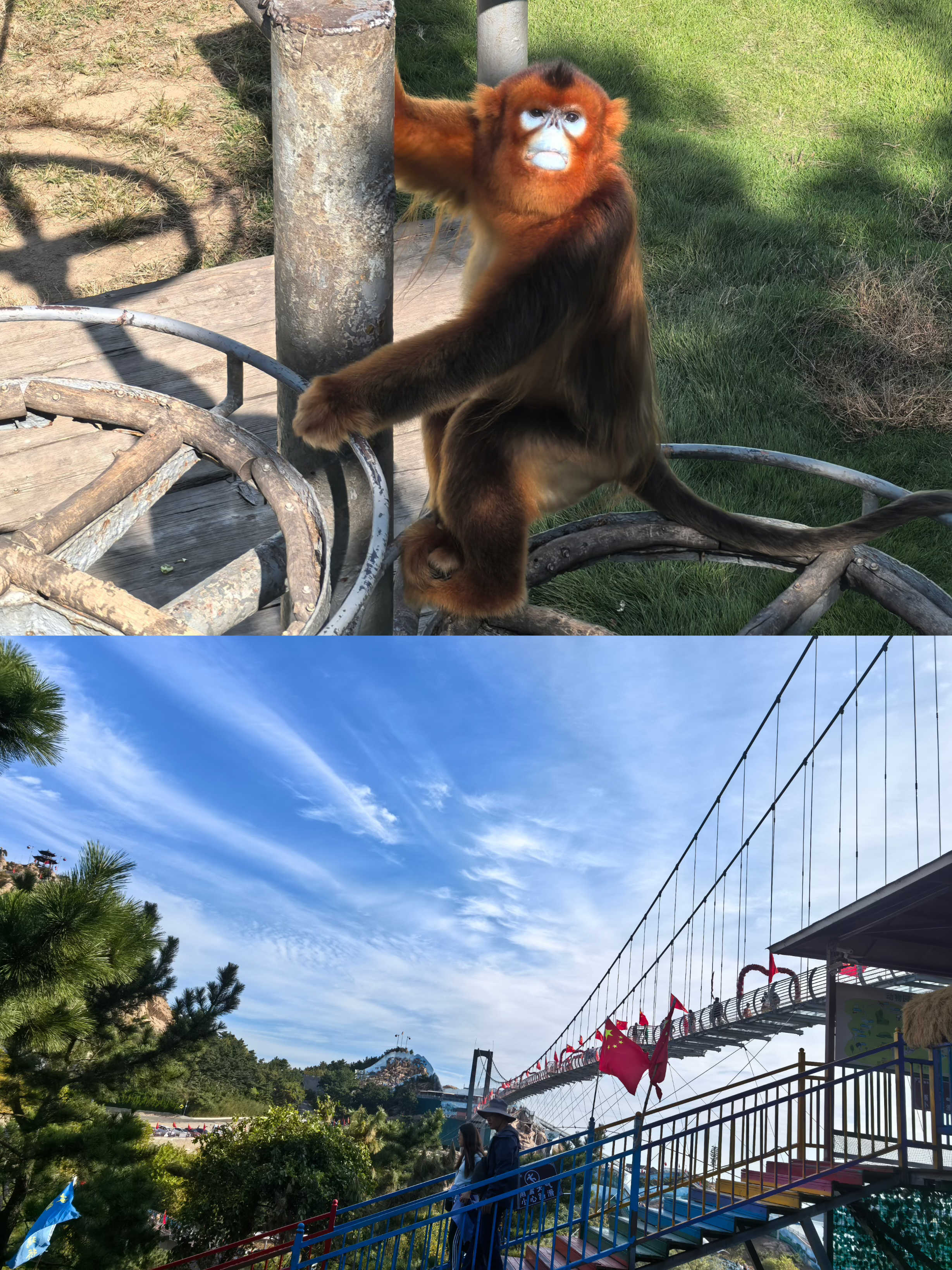 918������(�й���)�ٷ���վ